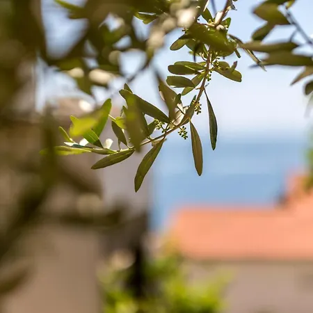 Apartment Apartments With A Parking Space Baska Voda, Makarska - 301